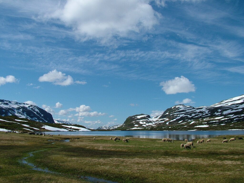 Hardangervidda2