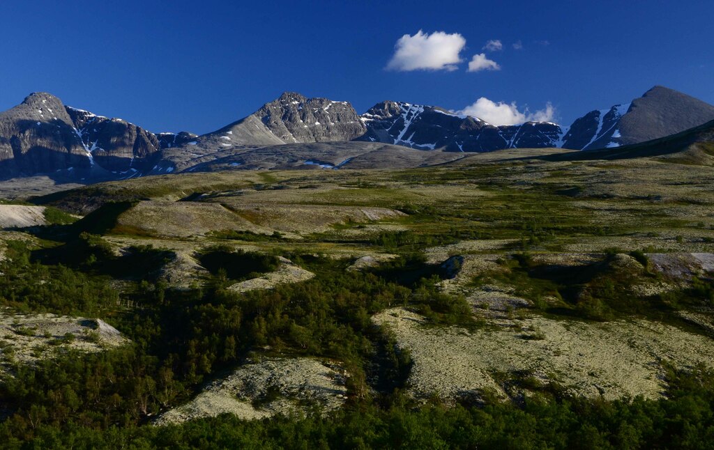 Rondane National Park 2015