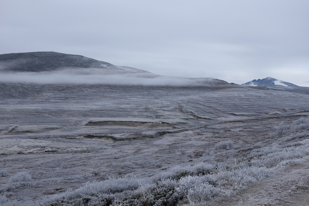 October morning in Stroplsjødalen valley in Dovrefjell National Park, Norway