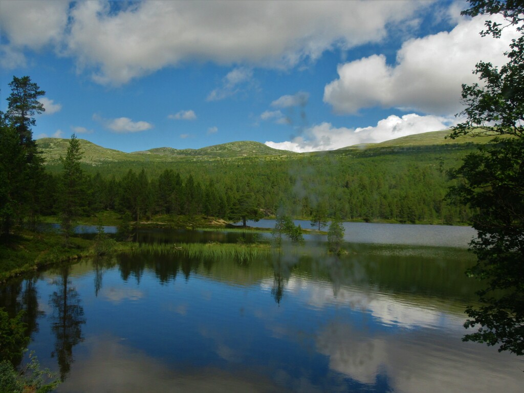 Femundsmarka nationalpark, Engerdals kommun, Norge, juli 2022 19, sjön Femunden vid Elgå