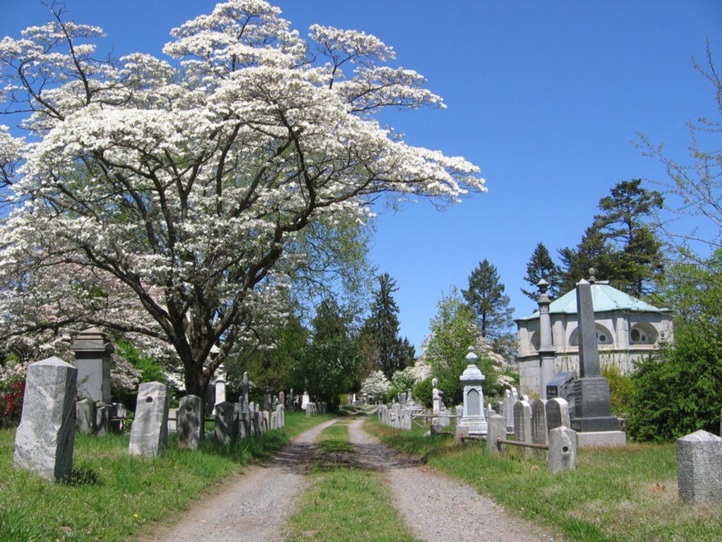 Sleepy hollow cemetery
