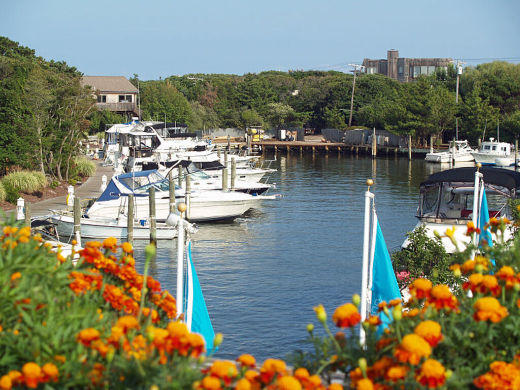 Fire Island Pines Shot 1
