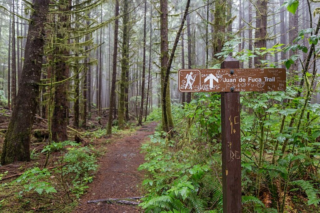 Flat section close to Sombrio Point, Juan de Fuca Trail, Vancouver Island, Canada 13