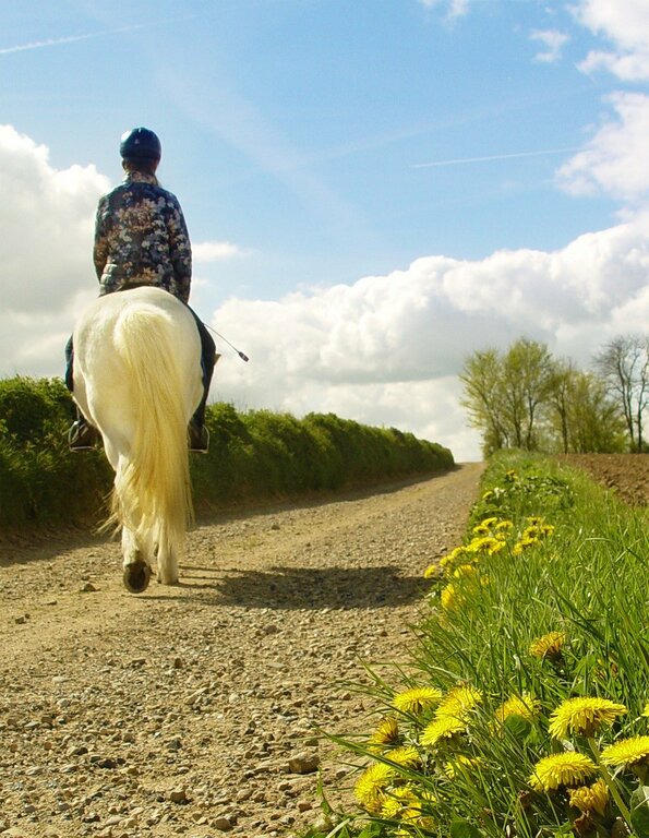 Horseback riding