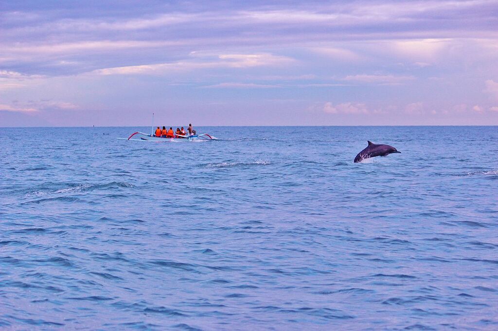 Dolphins and Sunrise in Lovina, Indonesia Bali - panoramio (2)