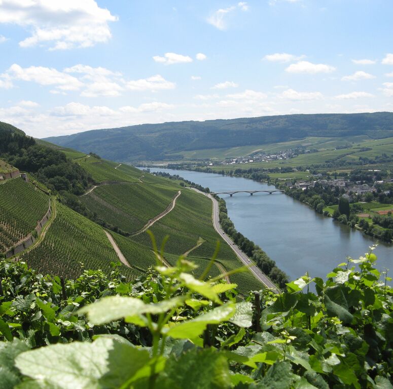 Mosel River Valley