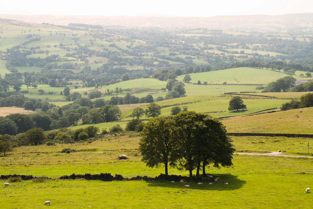 The roaches, Peak District, England
