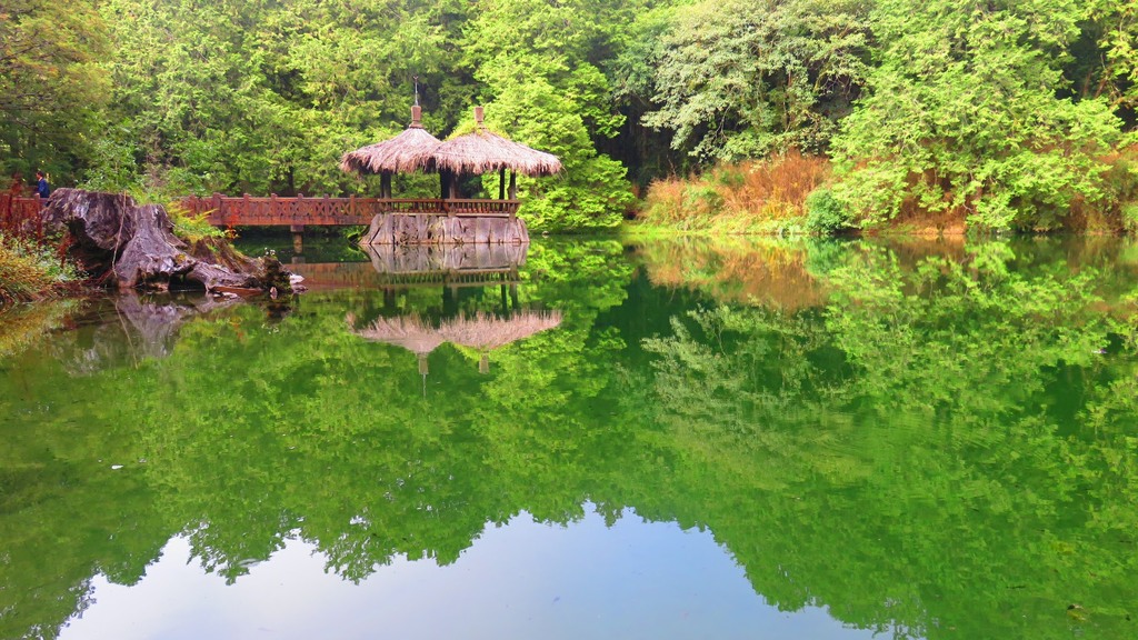 Twosisterpond alishan CanonPowerShotSX700HS 33630