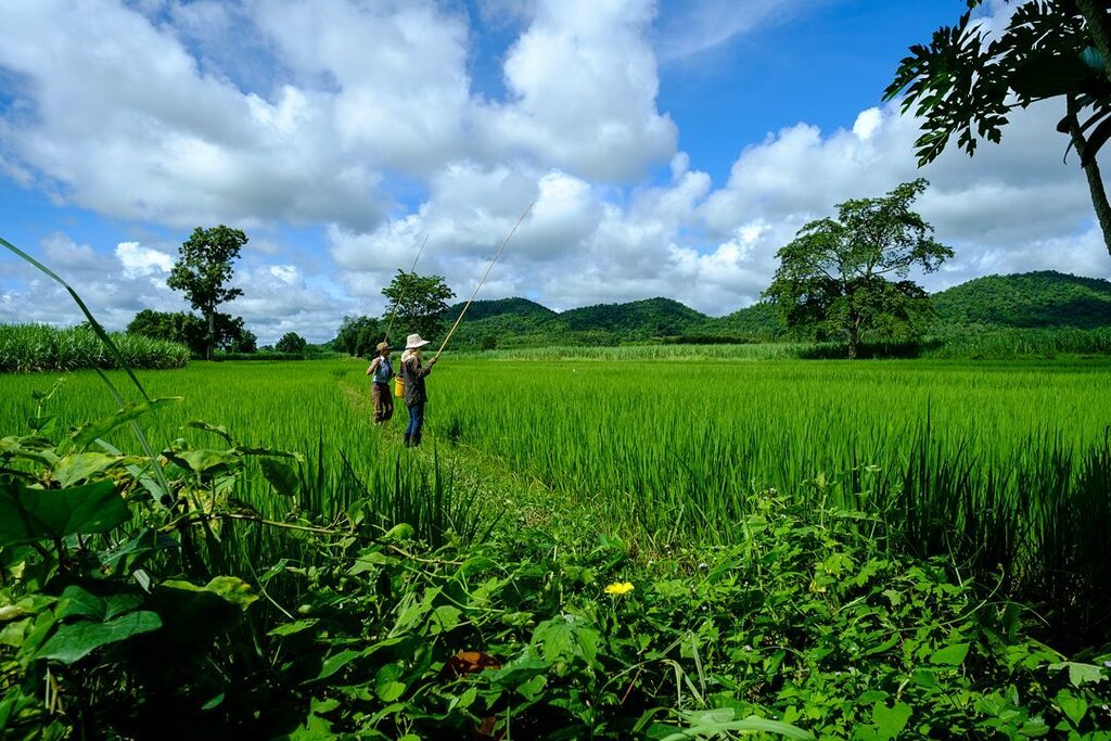 day trips from vientiane | nong bua lam phu, thailand