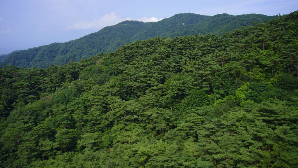 Mt rokko01s2816