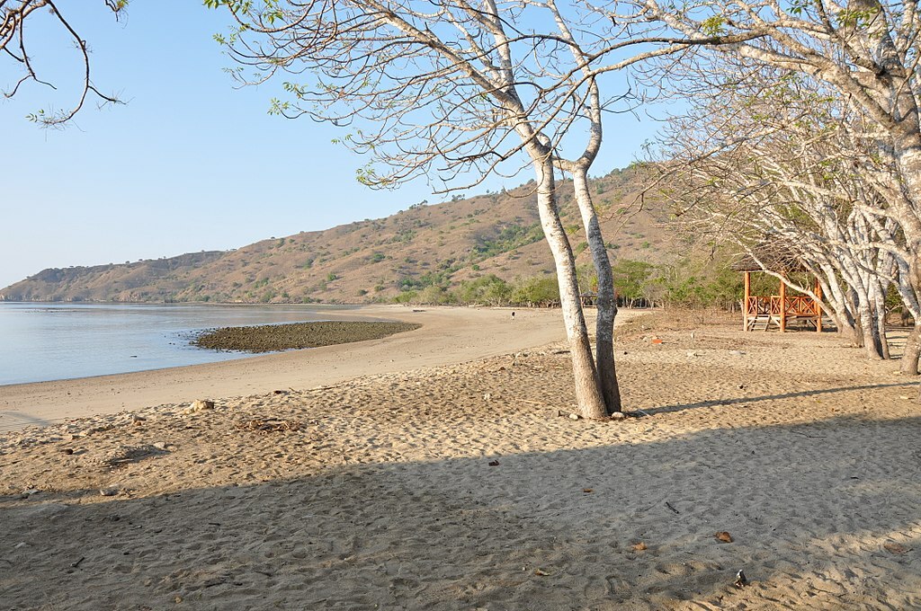 Komodo Island