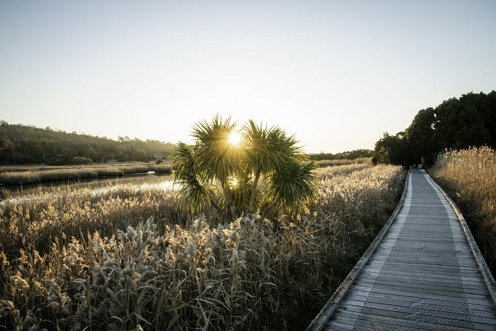 <div class="fn">
Tamar Island Wetlands Jpg</div>