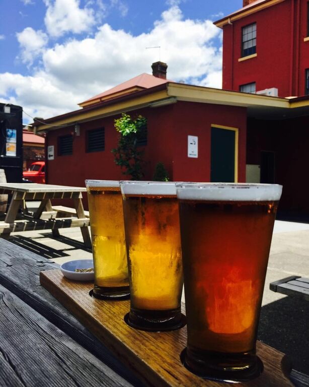 things to do in launceston australia | sign up for the james boag brewery tour