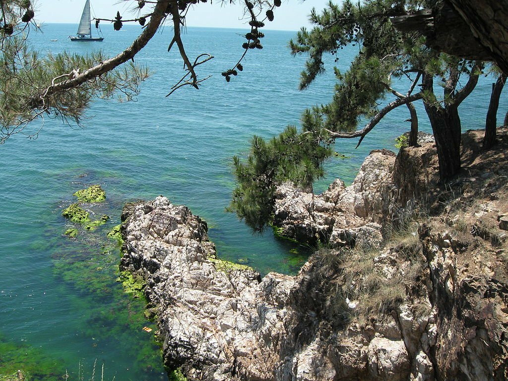 Büyükada, Dilburnu Mesire Yeri'nden bakış