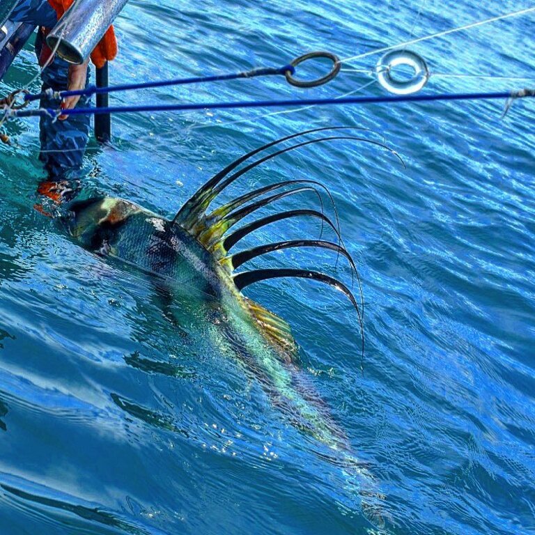 book a fishing trip with fishing nosara