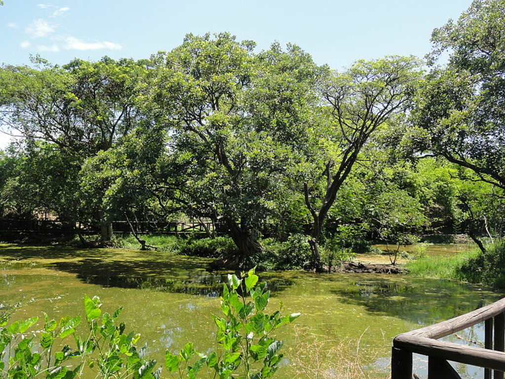 Parque Ecológico Humedal El Samán, Parque de la Salud (3). Cartago, Valle, Colombia