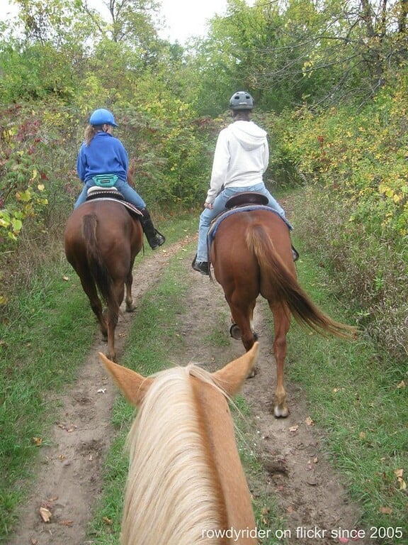 Trading Horses