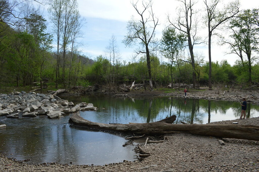Narrows of the Harpeth River