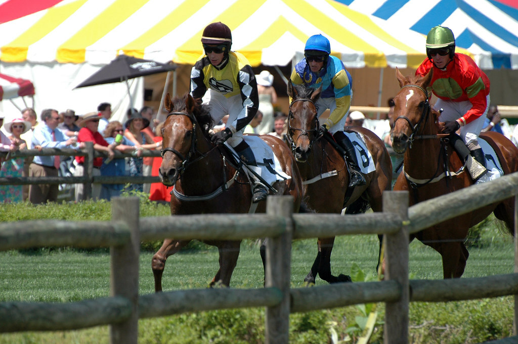 Steeplechase 2008
