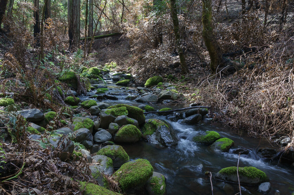 20210320 - Bothe-Napa Valley State Park - 4