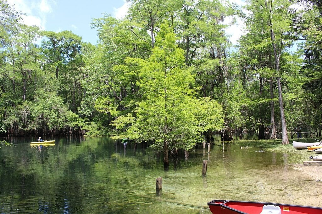 Manatee Springs State Park boating area