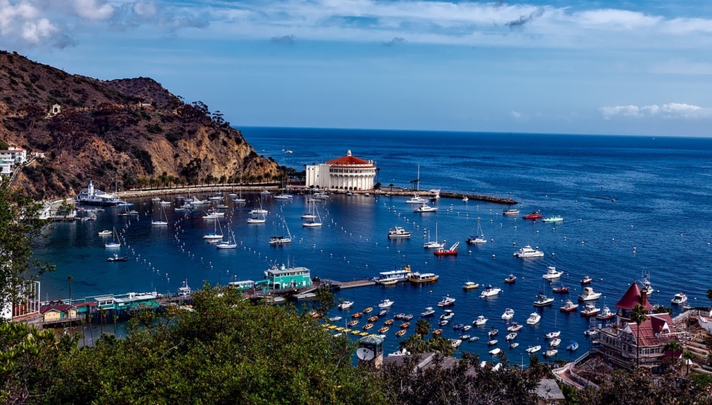 The Marina