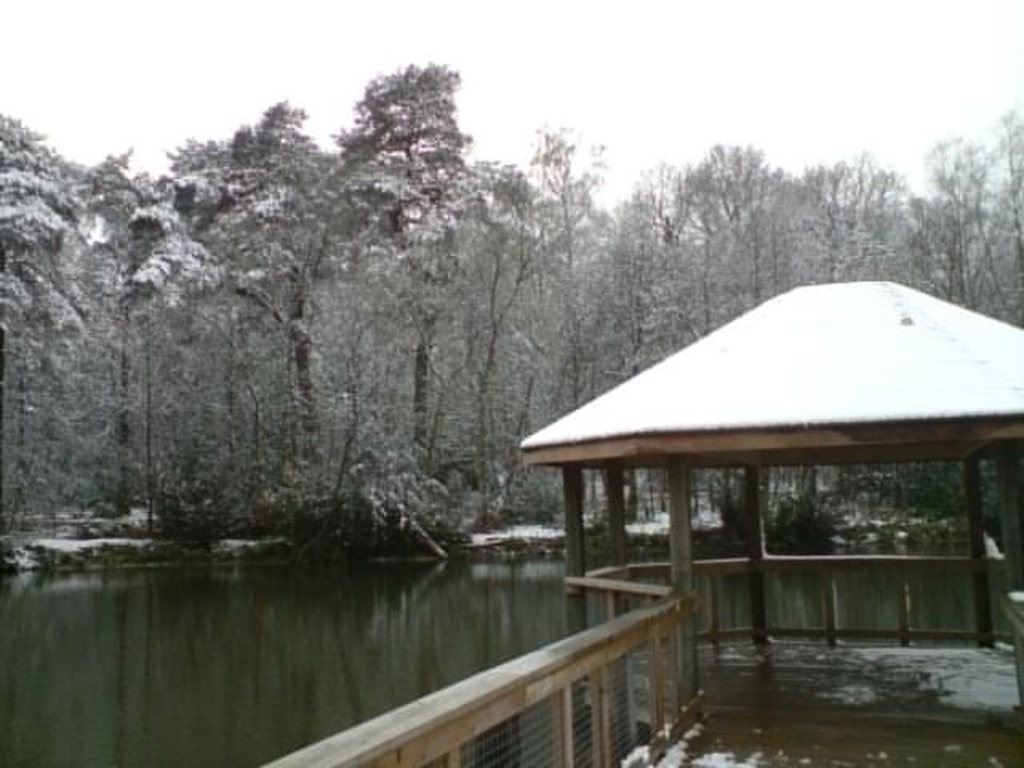 Tilgate Park, Nature Centre