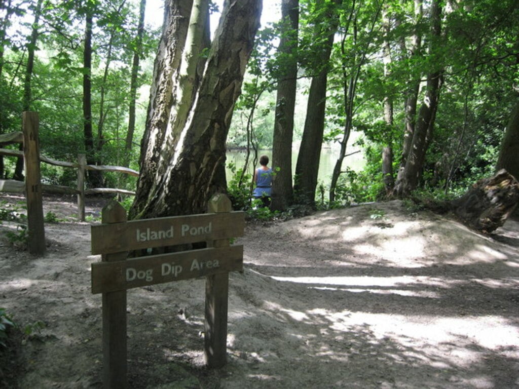 Doggy Dip Buchan Country Park, Crawley, West Sussex - geograph.org.uk - 1386068