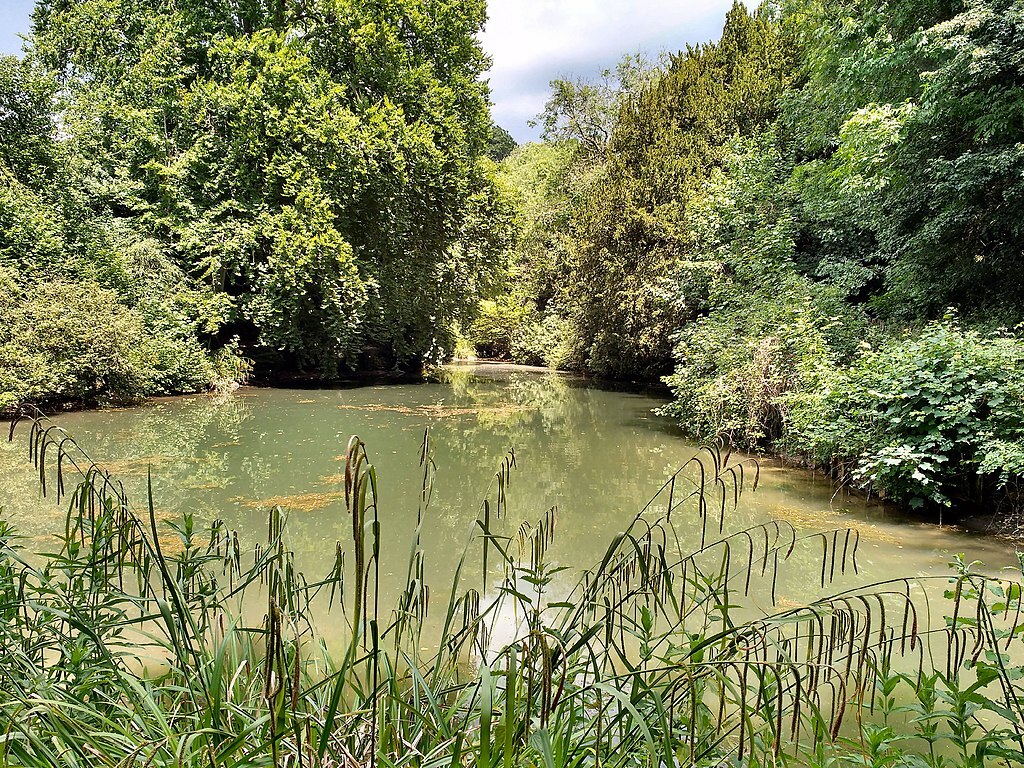 Albury, Silent Pool