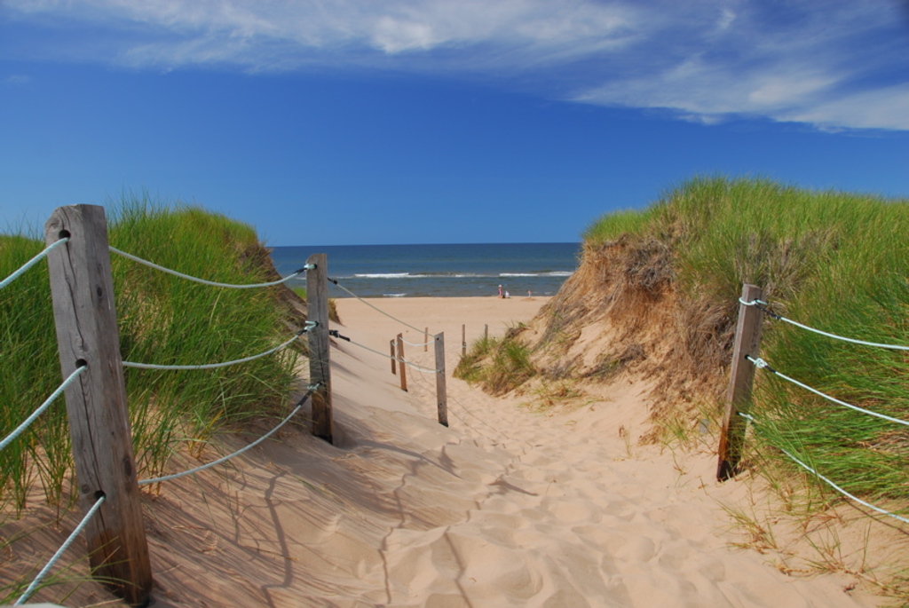 Greenwich dunes