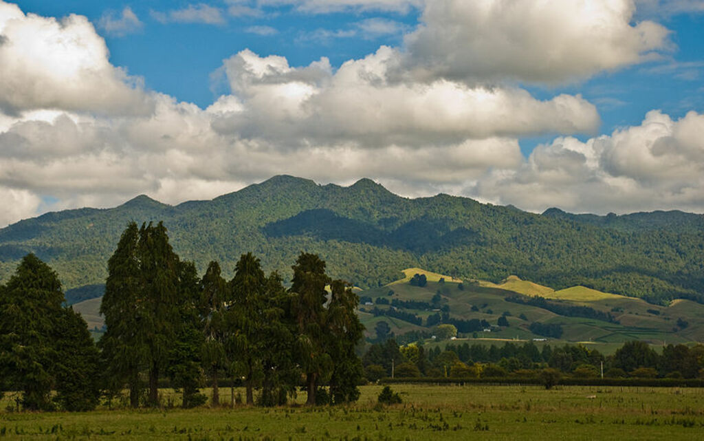 Mount Pirongia