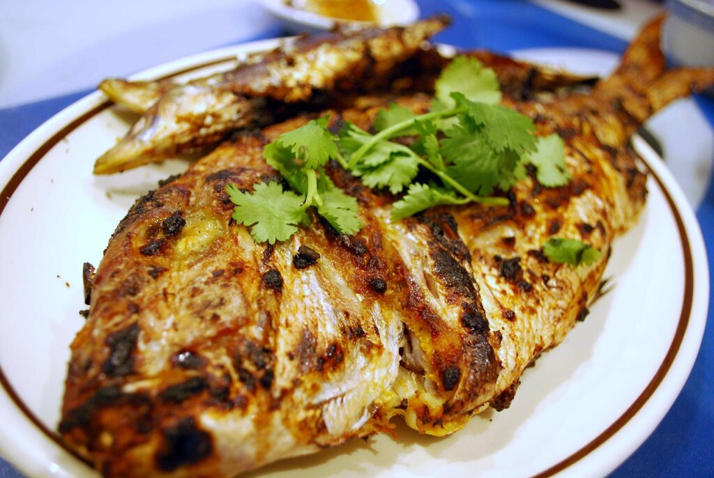 Grilled salmon