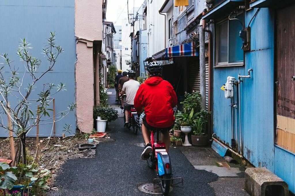 Electric-Powered Biking Tour