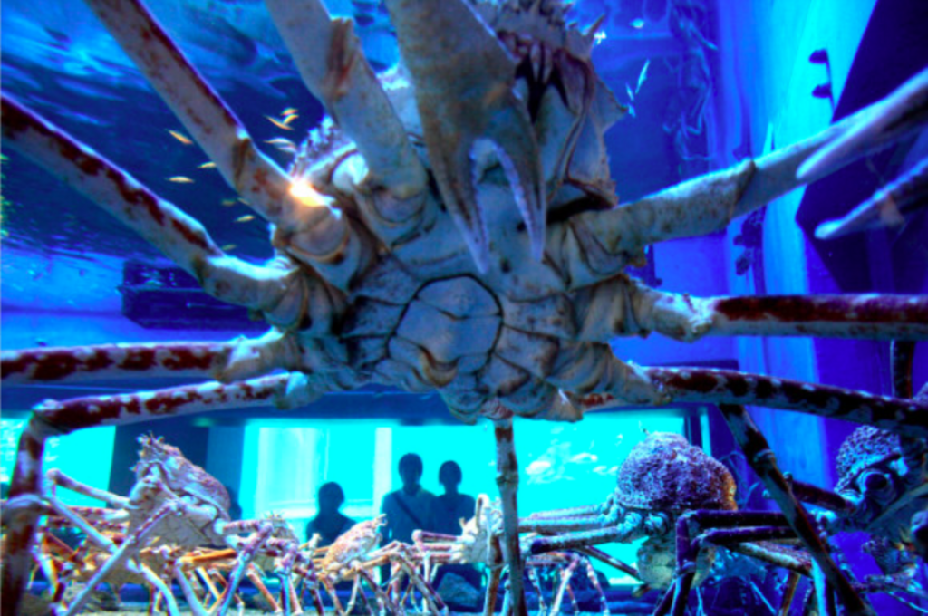 Aquarium