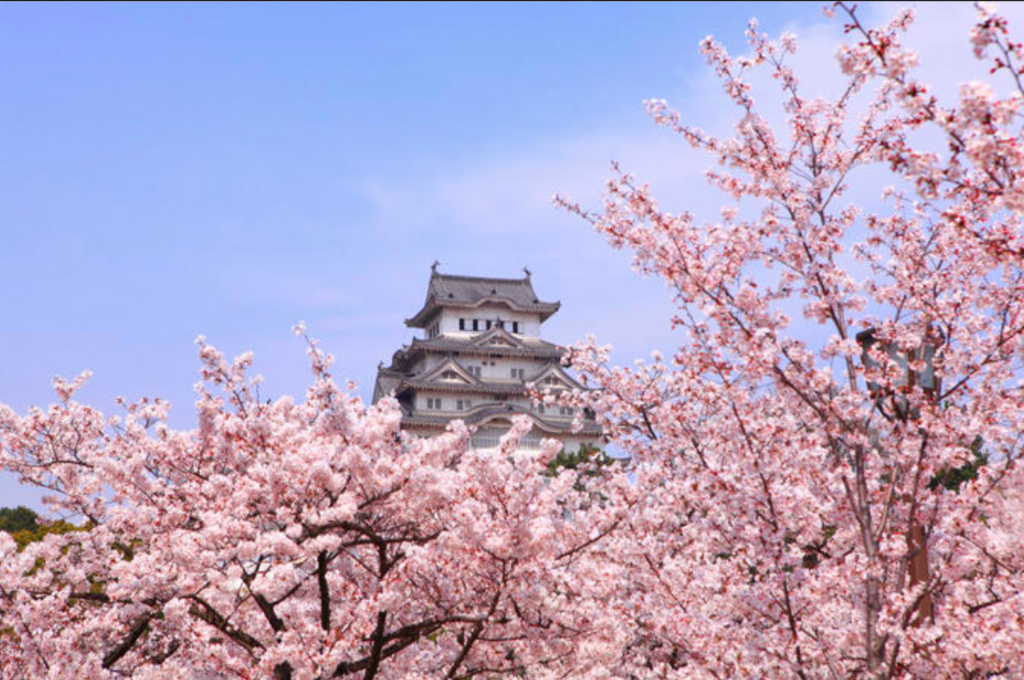 View of Osaka Castle