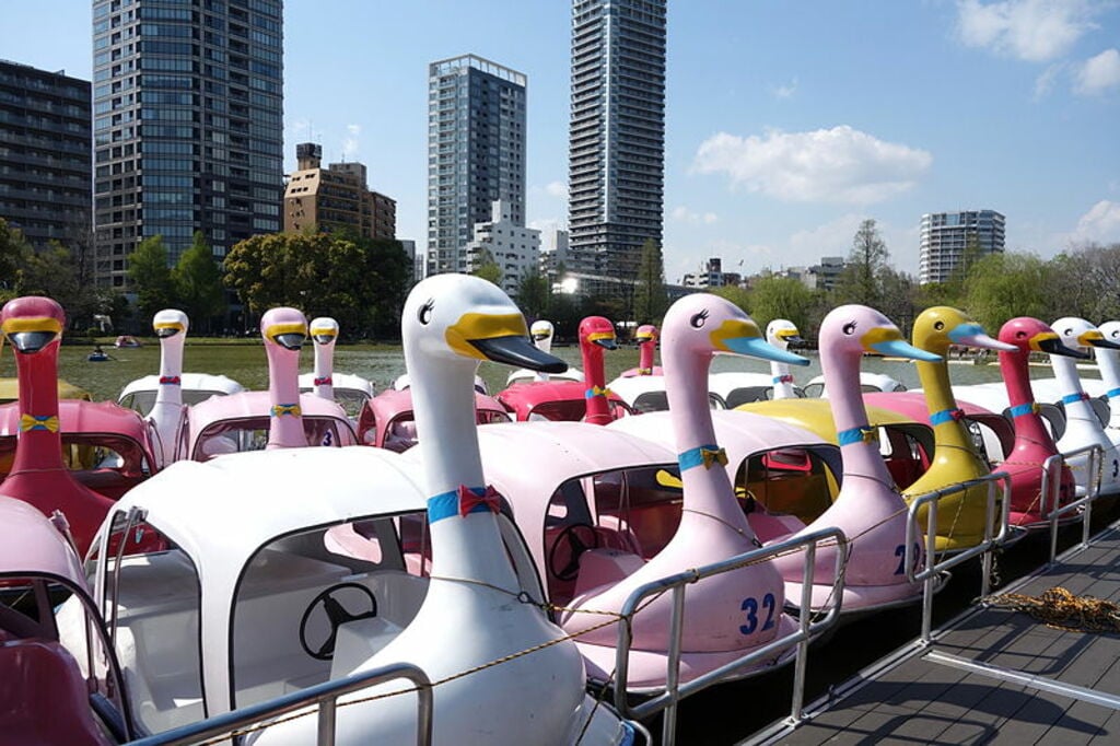 Boats on Shinobazu Pond - Ueno Park, Tokyo, Japan - DSC02035