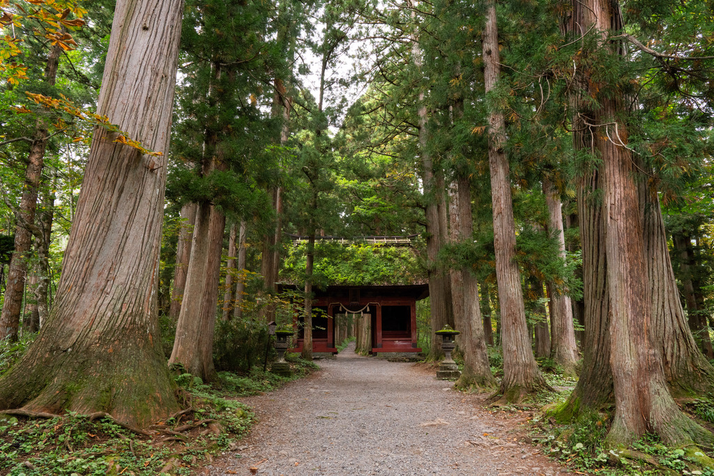 Zuishinmon Gate, entrance to the hall of Japanese cedars leading up to Oku-sha at Togakushi Shrine