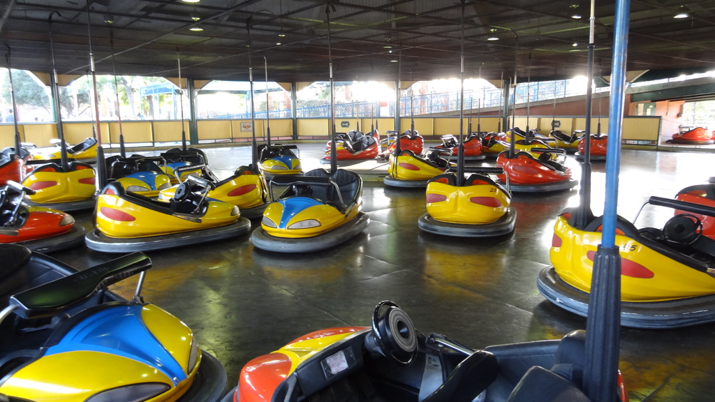 Wheeler Dealer Bumper Cars