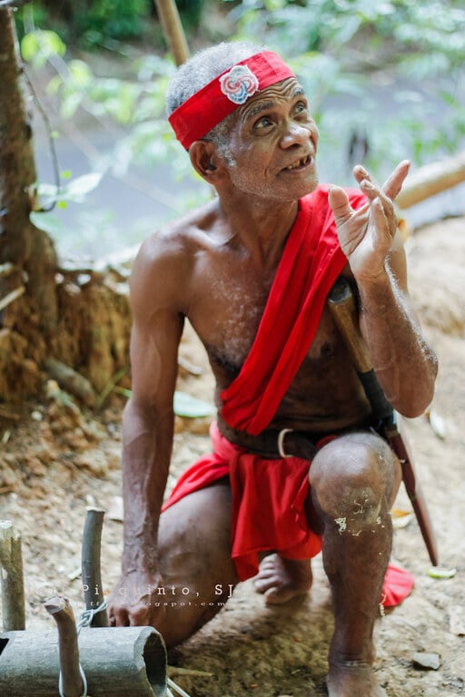 Tatay Kasuy - Jungle Survival in Subic