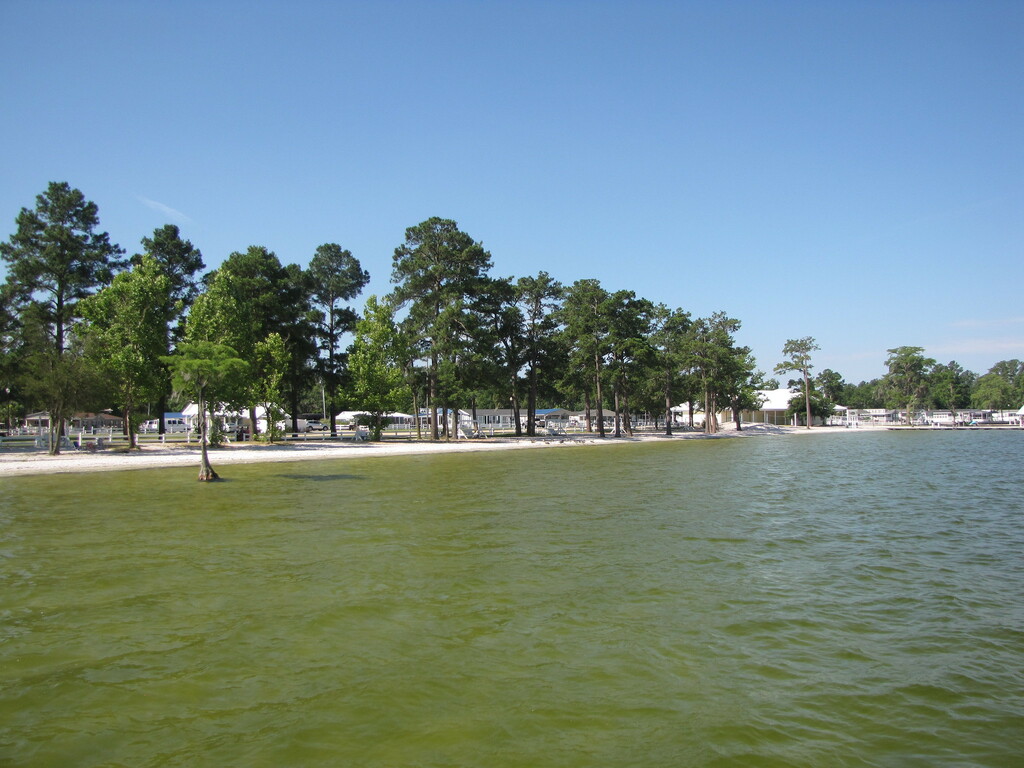 White Lake shore