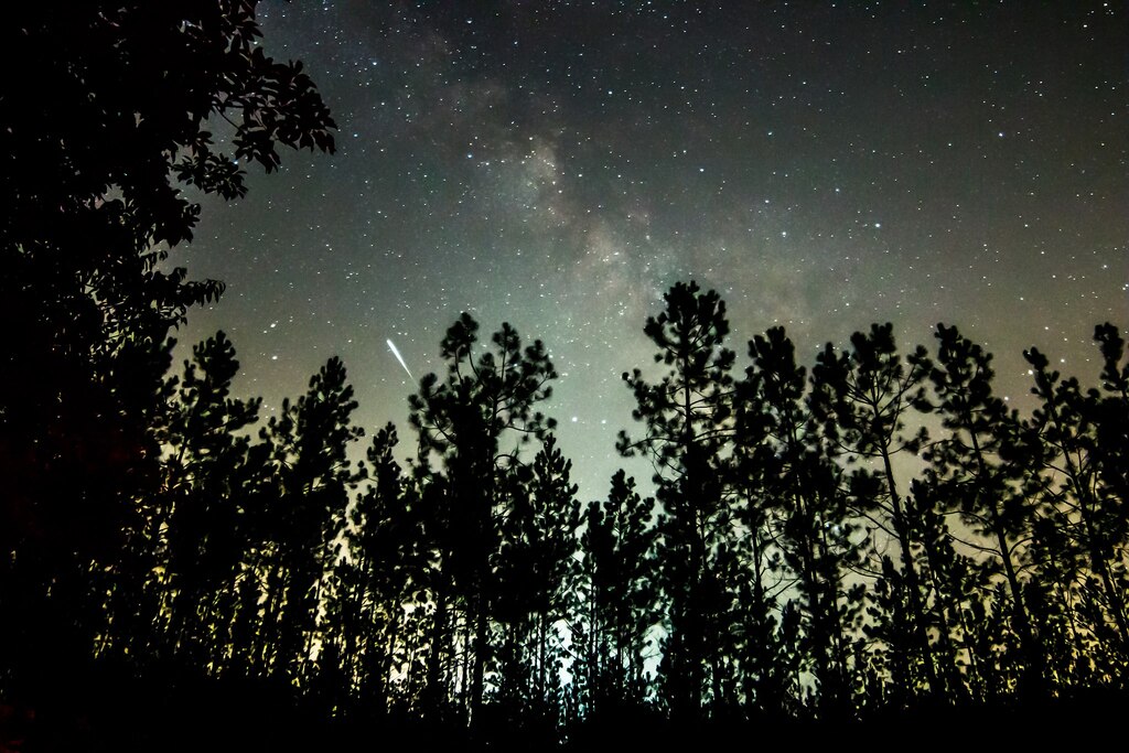 Bladen Lake Forest - Milky Way - Meteor