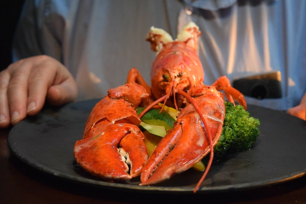 The Lobster perched on the vegatables - The Vancouver Fish Company - Granville Island - Vancouver