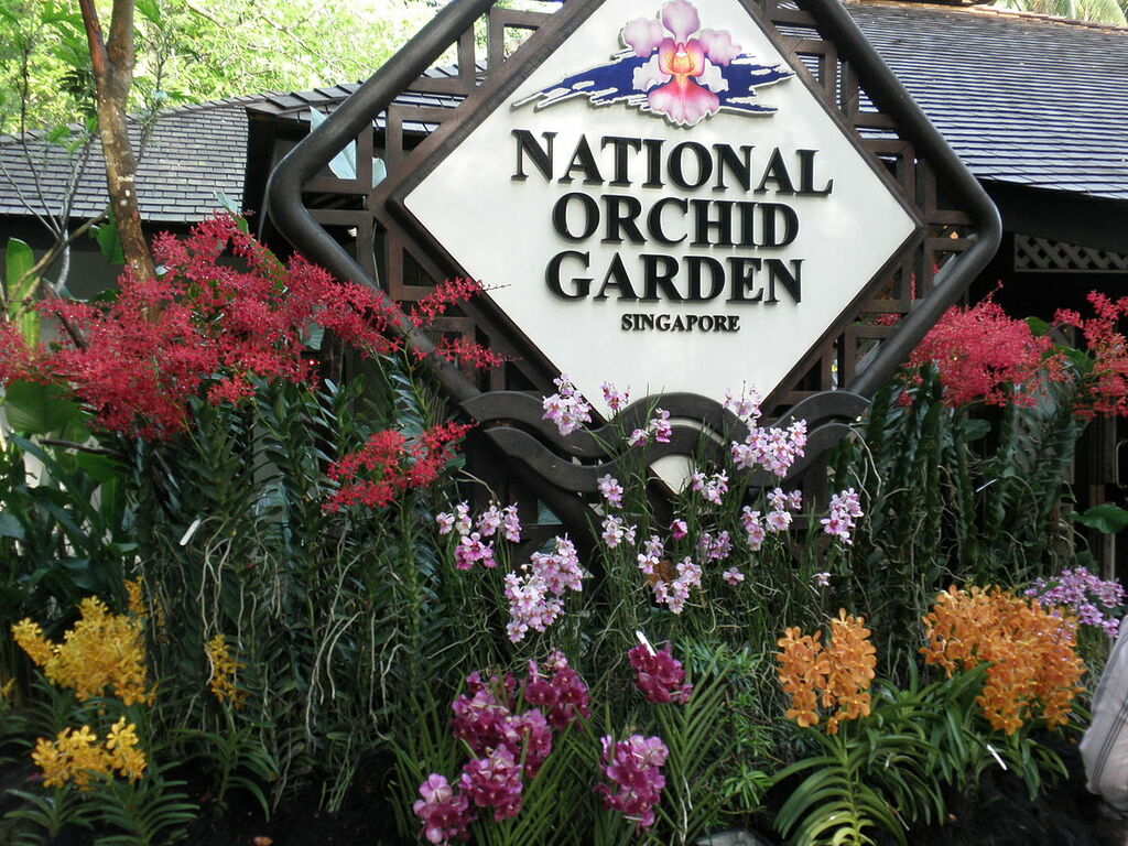P5080128 - National Orchid Garden 01