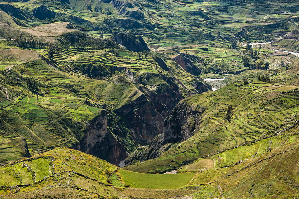 things to do in peru | colca canyon