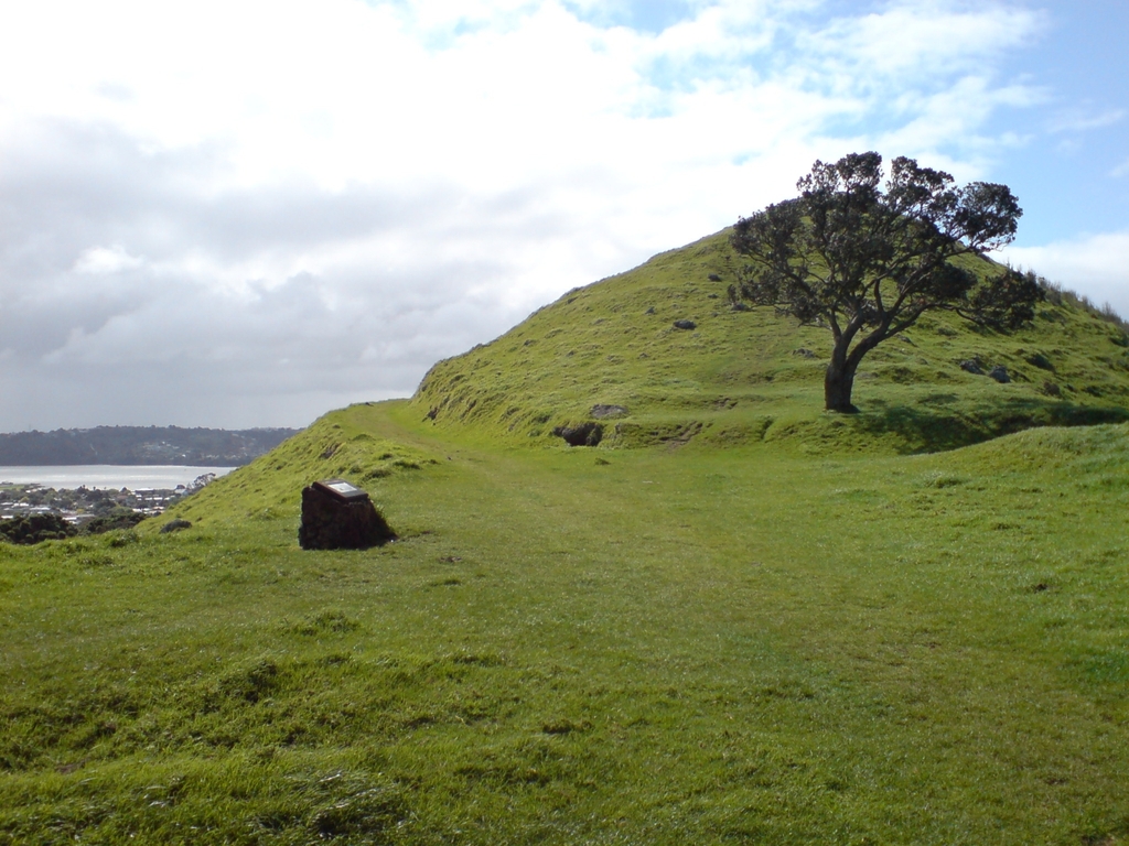 Mangere Mountain Path To Summit