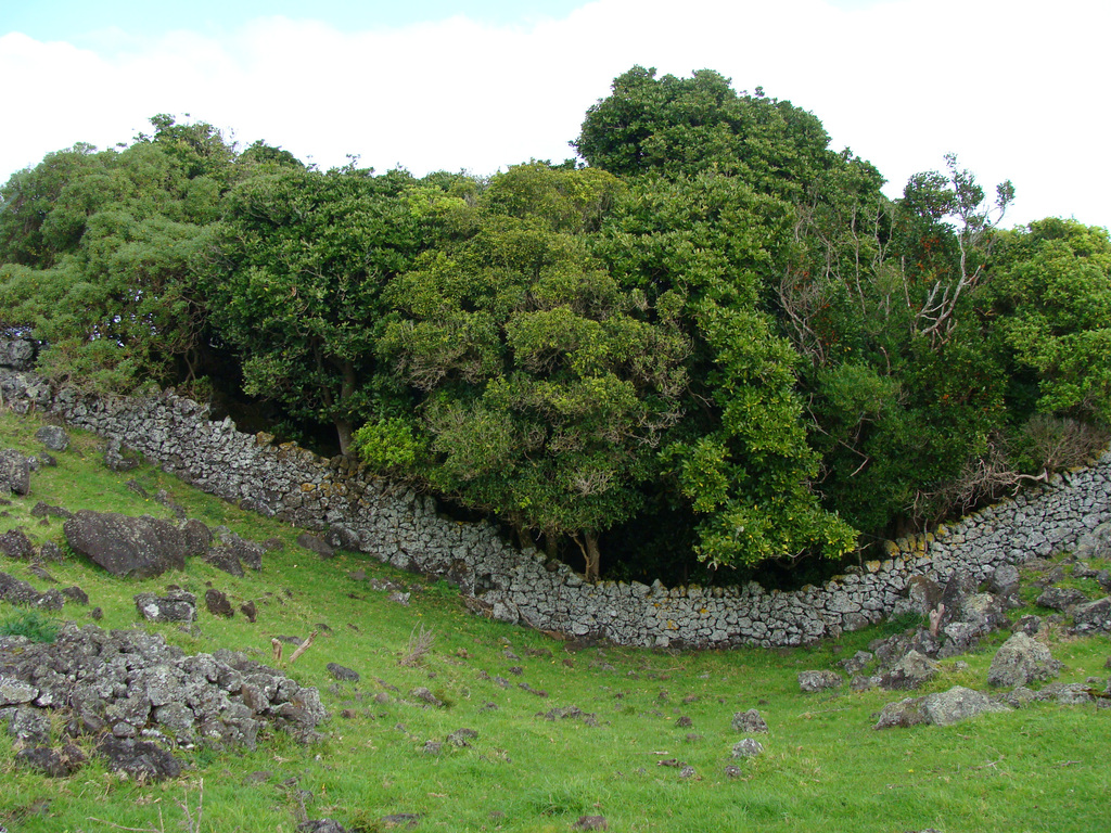 Ōtuataua volcano Auckland New Zealand