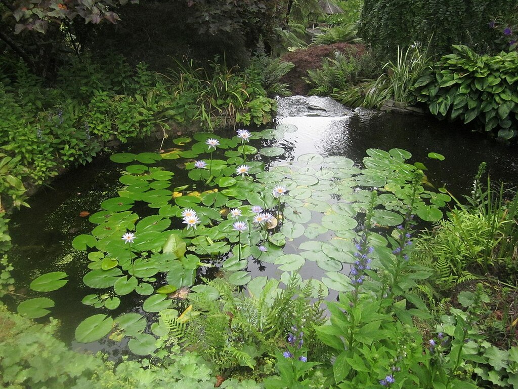 Ayrlies Garden 7368