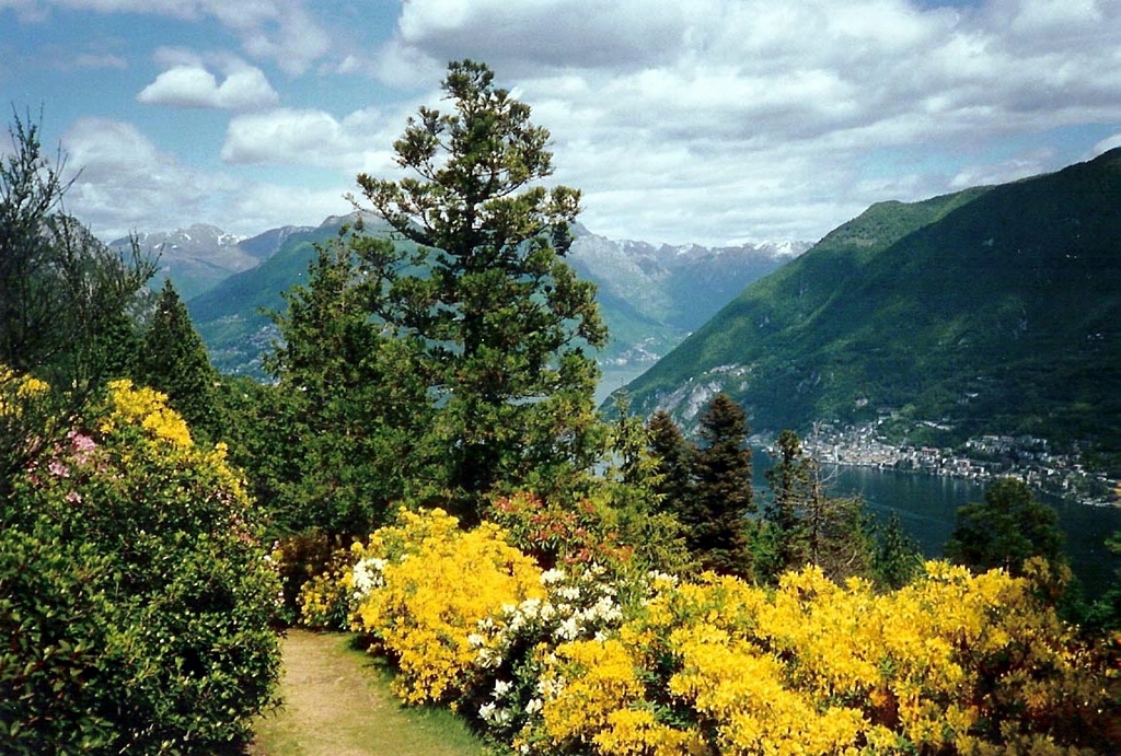 Paradiso parco san grato