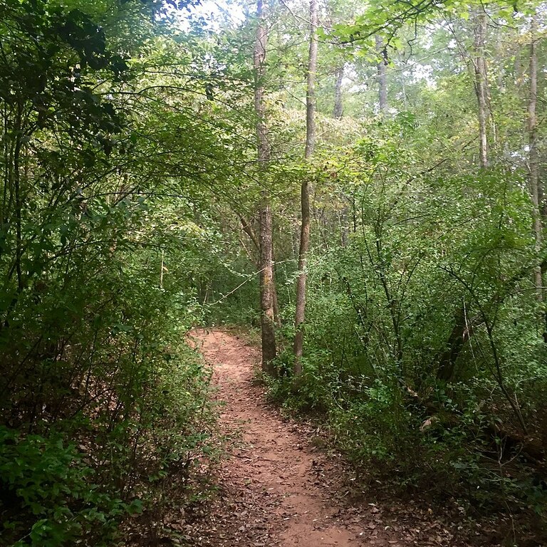 Croft State Park