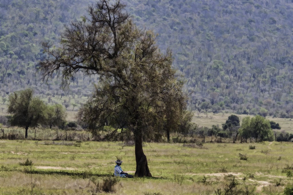 young zulu girl sitting alone under a tree in the shade